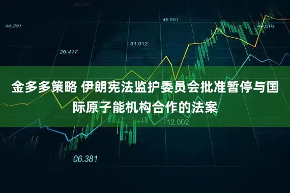 金多多策略 伊朗宪法监护委员会批准暂停与国际原子能机构合作的法案