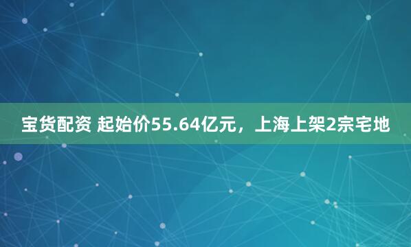 宝货配资 起始价55.64亿元，上海上架2宗宅地